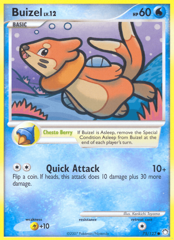 Buizel